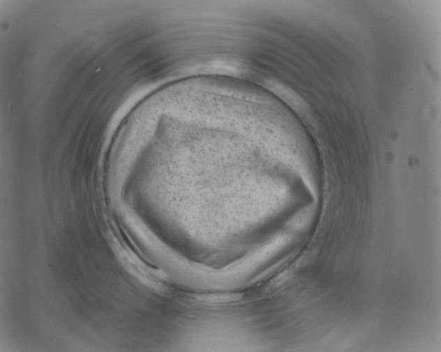 X0000071801200200607211639