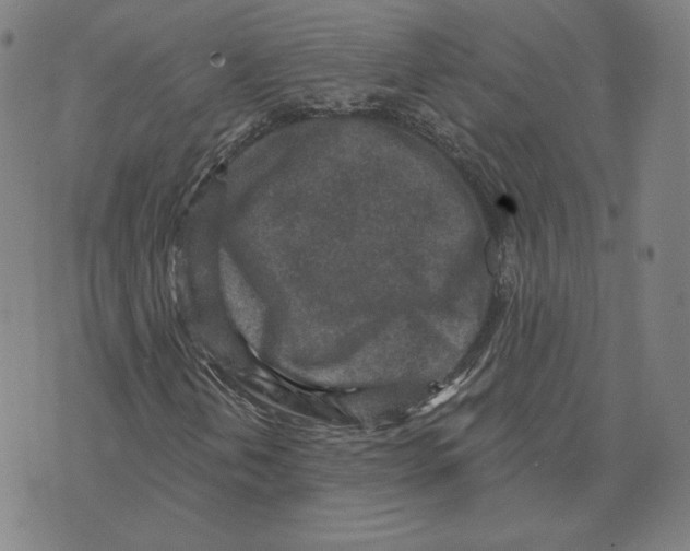 X0000071801202200607211638