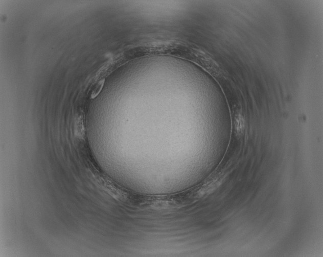 X0000071801204200607211638