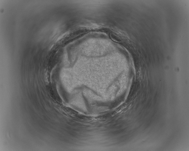 X0000071801205200607211638