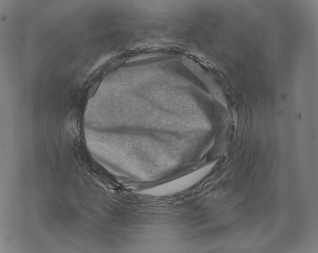 X0000071801206200607211638