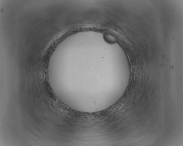 X0000071801207200607211638