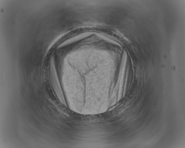 X0000071801208200607211638