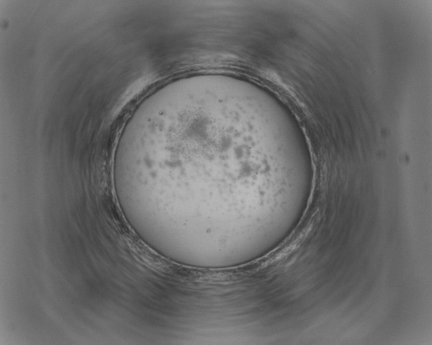 X0000071801211200607211638