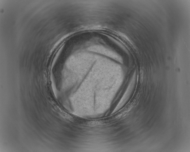 X0000071801212200607211638