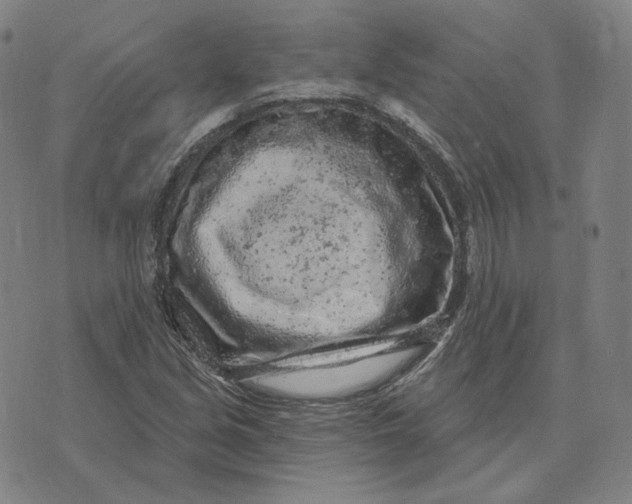 X0000071801213200607211638