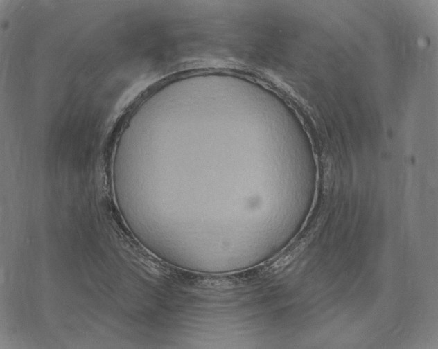 X0000071801215200607211638