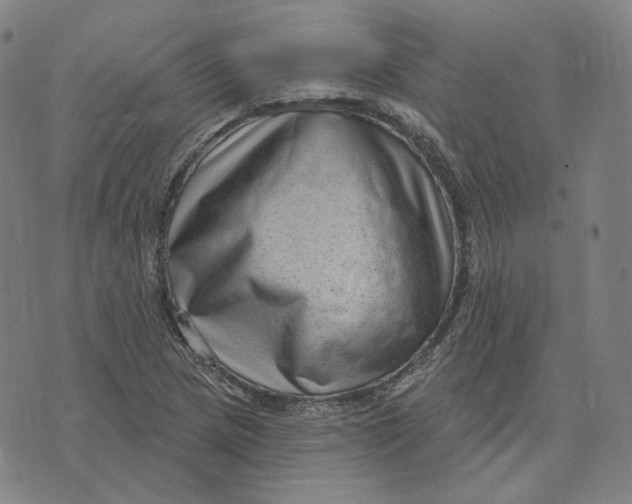 X0000071801217200607211638