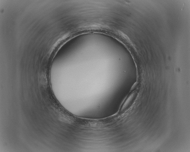 X0000071801218200607211638