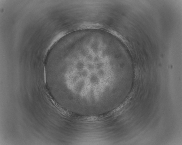 X0000071801219200607211638