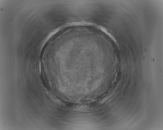 X0000071801221200607211639