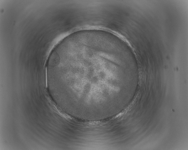 X0000071801223200607211639