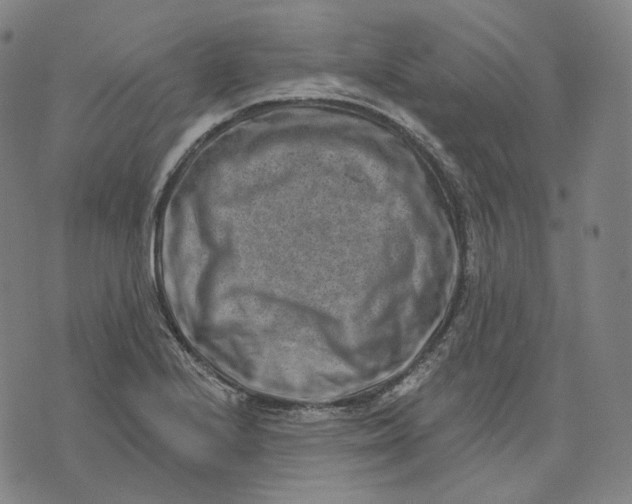 X0000071801224200607211639