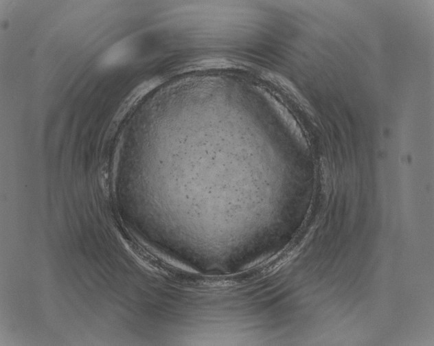 X0000071801225200607211639