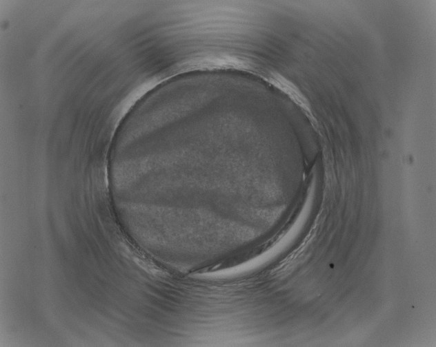 X0000071801226200607211639