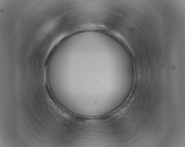 X0000071801227200607211639