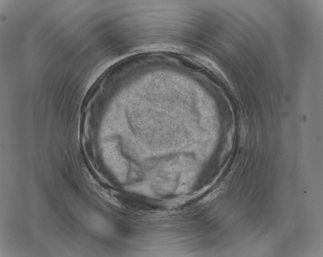 X0000071801228200607211639