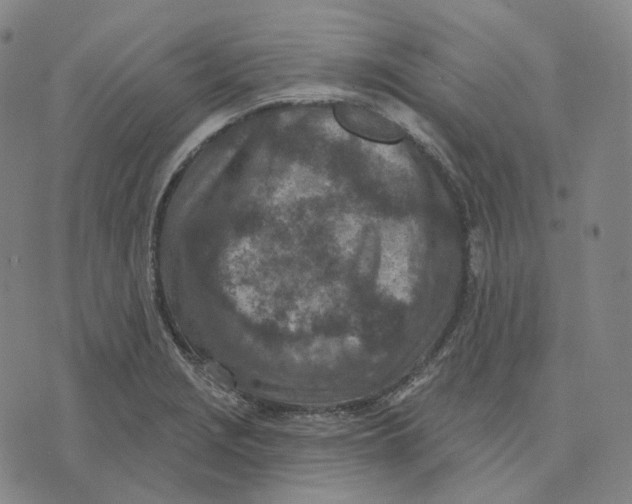 X0000071801229200607211639