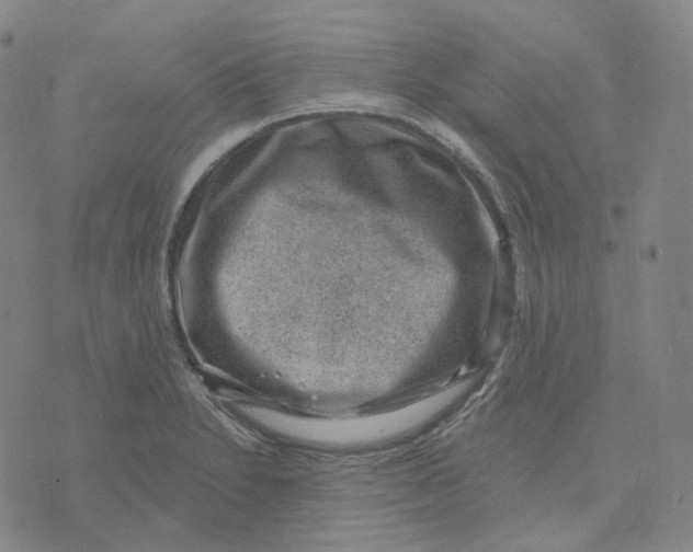 X0000071801230200607211639