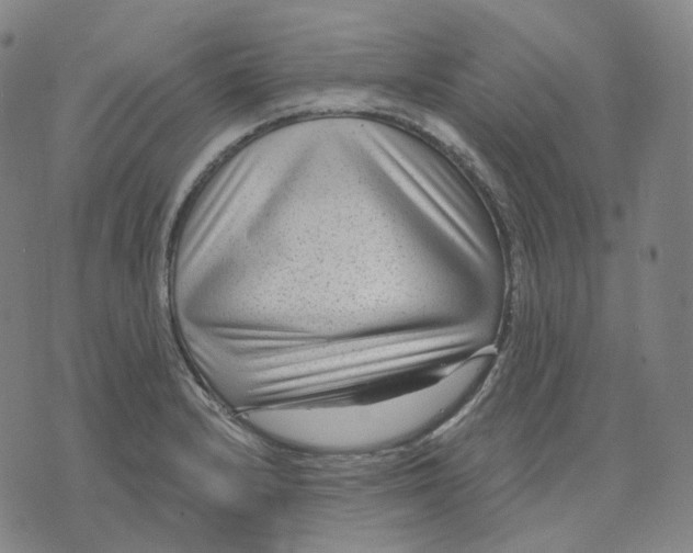 X0000071801232200607211639