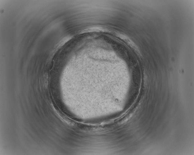 X0000071801233200607211639