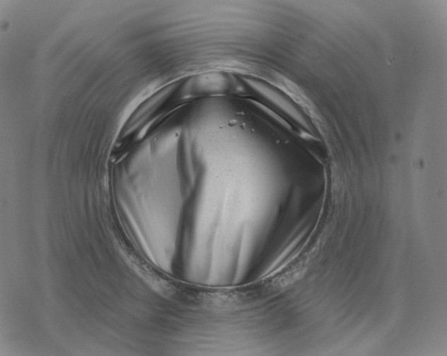 X0000071801234200607211639