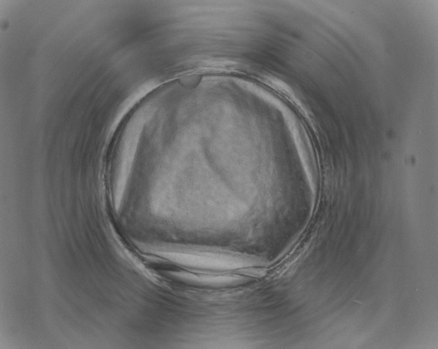 X0000071801235200607211639