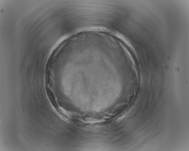 X0000071801237200607211639