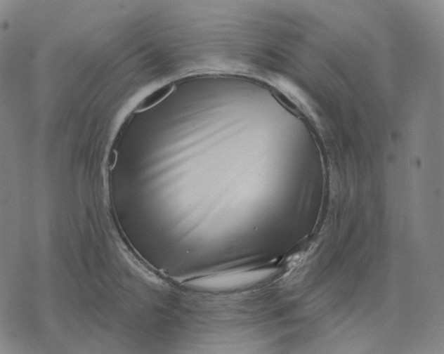 X0000071801238200607211639