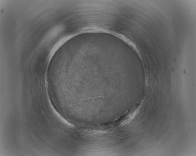 X0000071801239200607211639