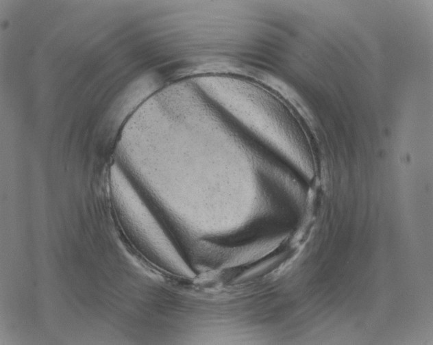 X0000071801241200607211639