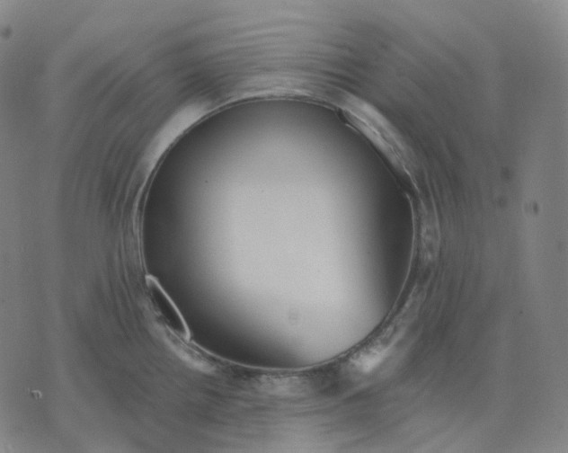 X0000071801242200607211639