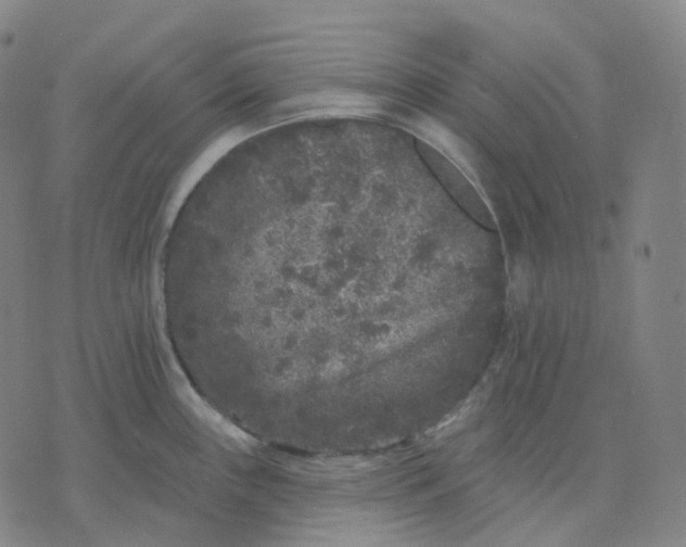 X0000071801243200607211639