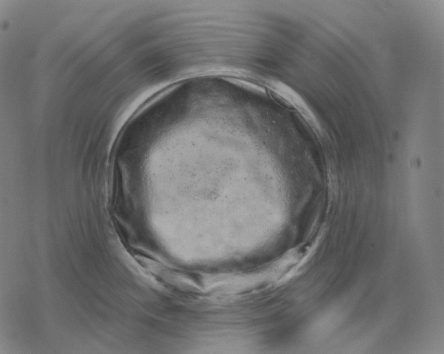 X0000071801244200607211639