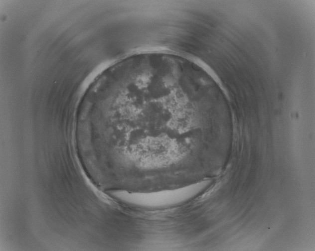 X0000071801245200607211639