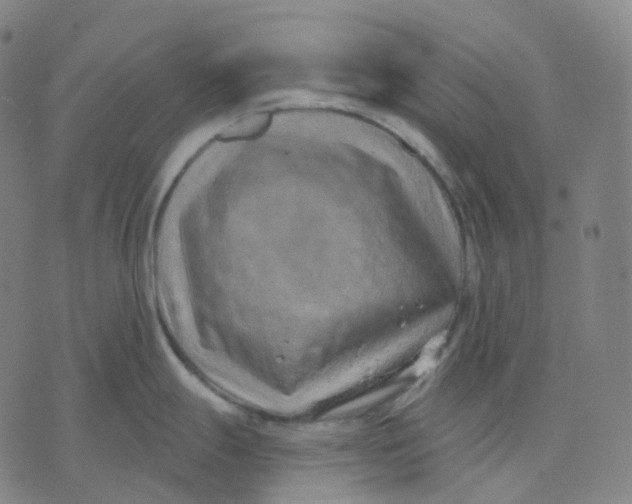 X0000071801247200607211639