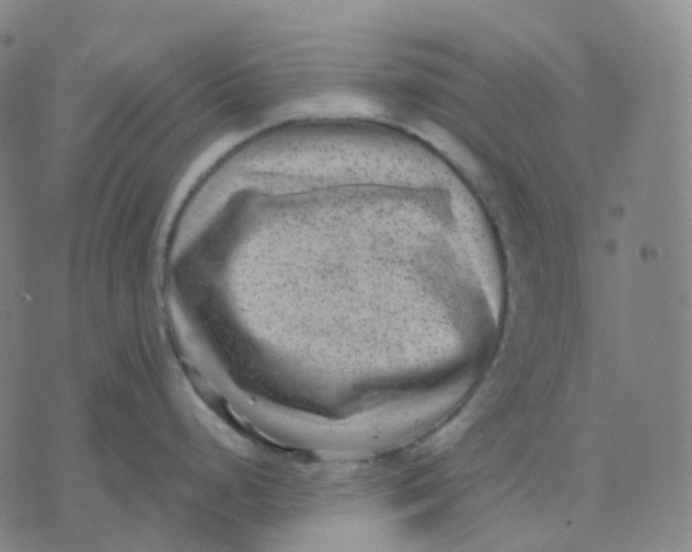 X0000071801248200607211639