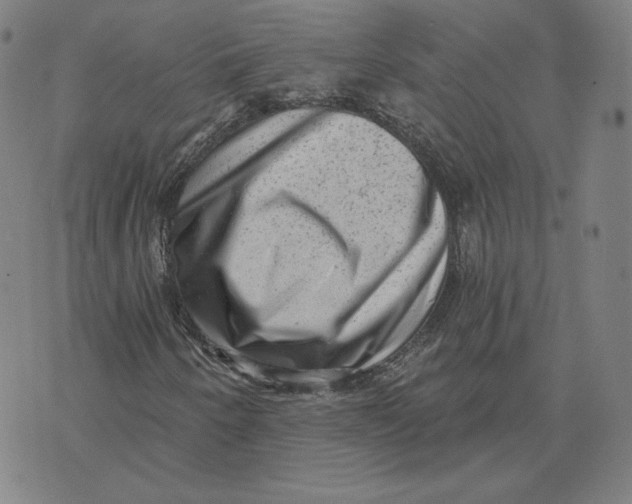 X0000071801250200607211638