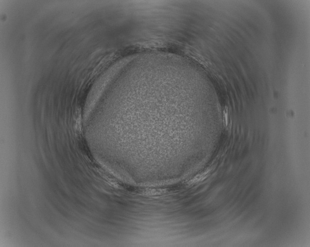 X0000071801251200607211638