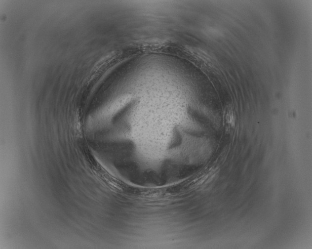 X0000071801252200607211638