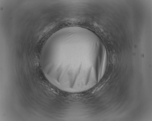 X0000071801253200607211638