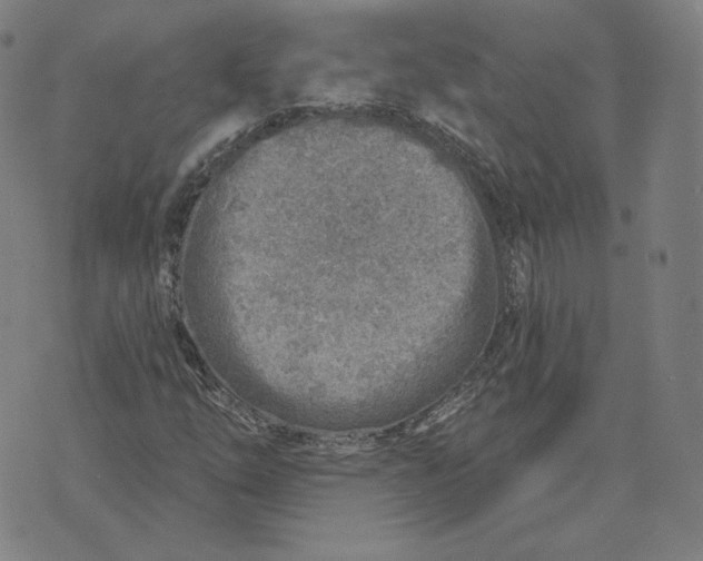 X0000071801254200607211638