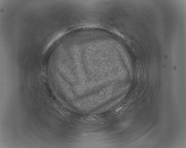 X0000071801255200607211638