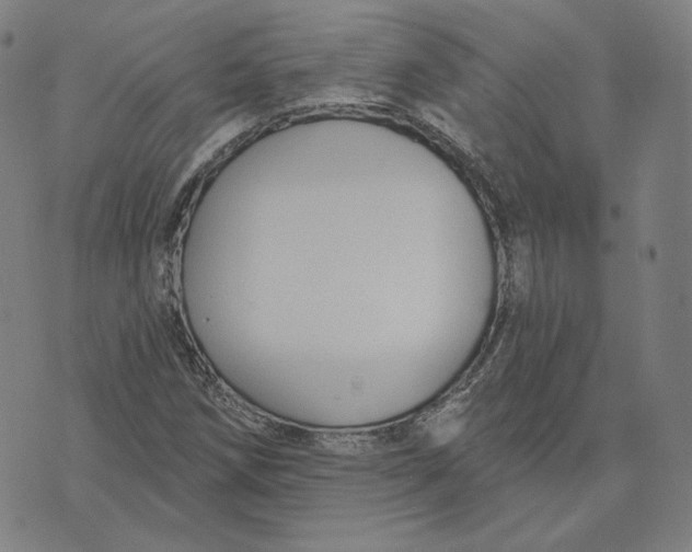 X0000071801258200607211638