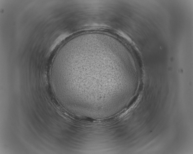 X0000071801259200607211638