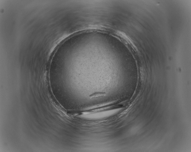 X0000071801260200607211638