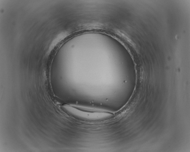 X0000071801261200607211638