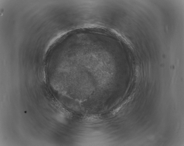 X0000071801262200607211638