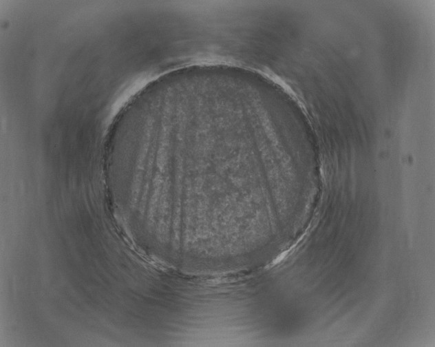 X0000071801263200607211638