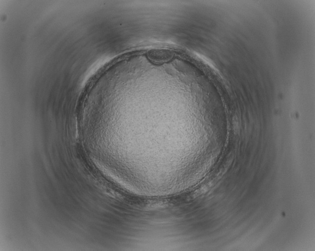 X0000071801267200607211638